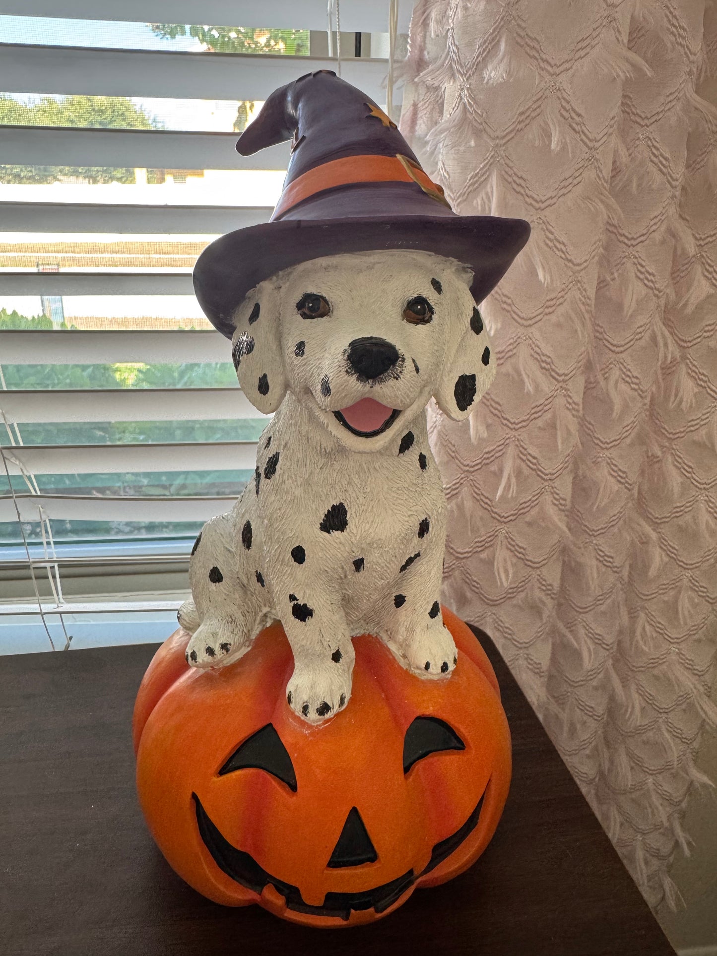 Limited Edition Witchy Dalmatian Pumpkin Decor
