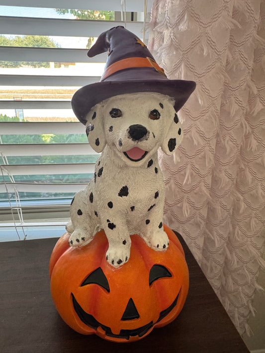 Limited Edition Witchy Dalmatian Pumpkin Decor