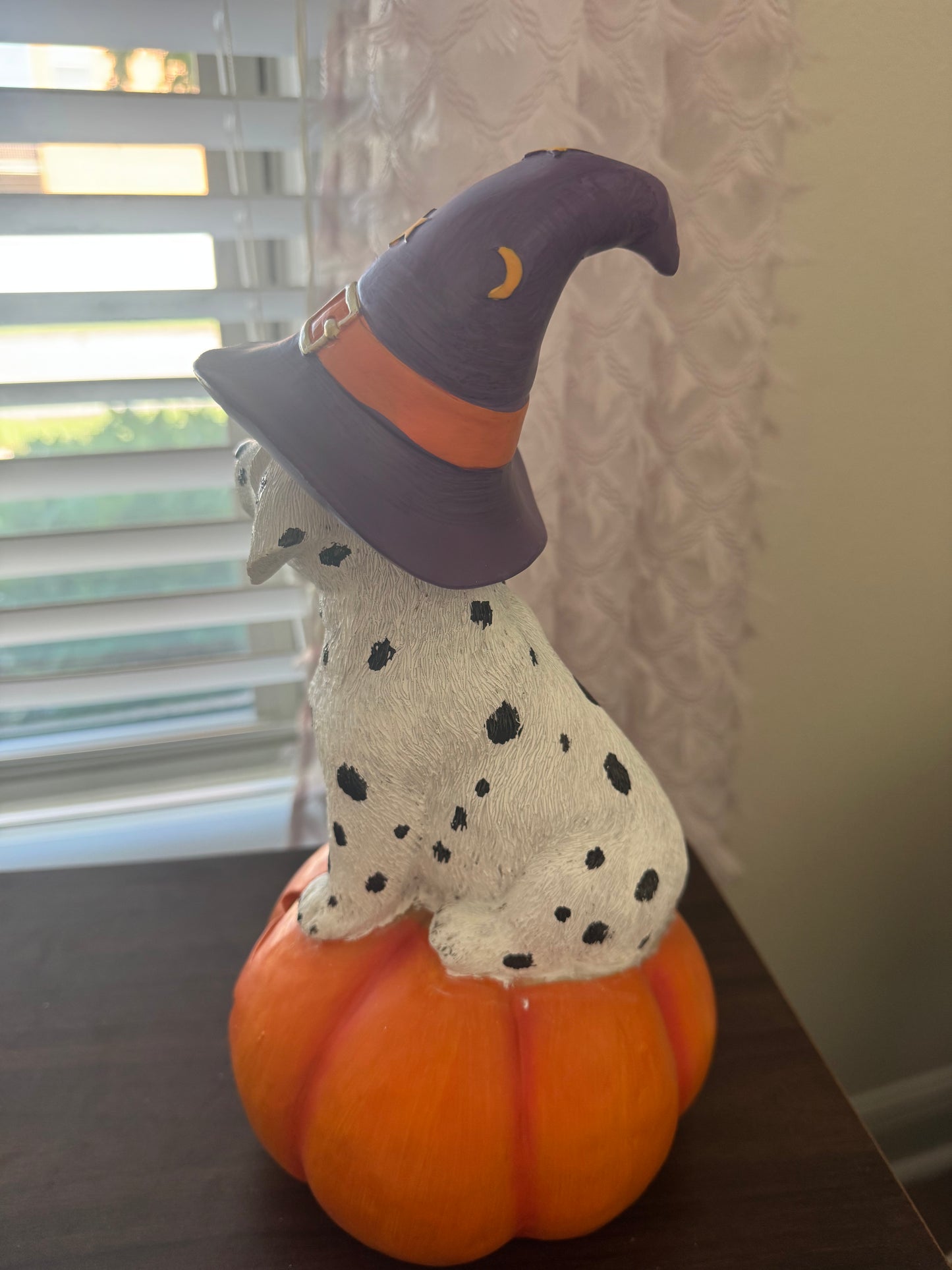 Limited Edition Witchy Dalmatian Pumpkin Decor