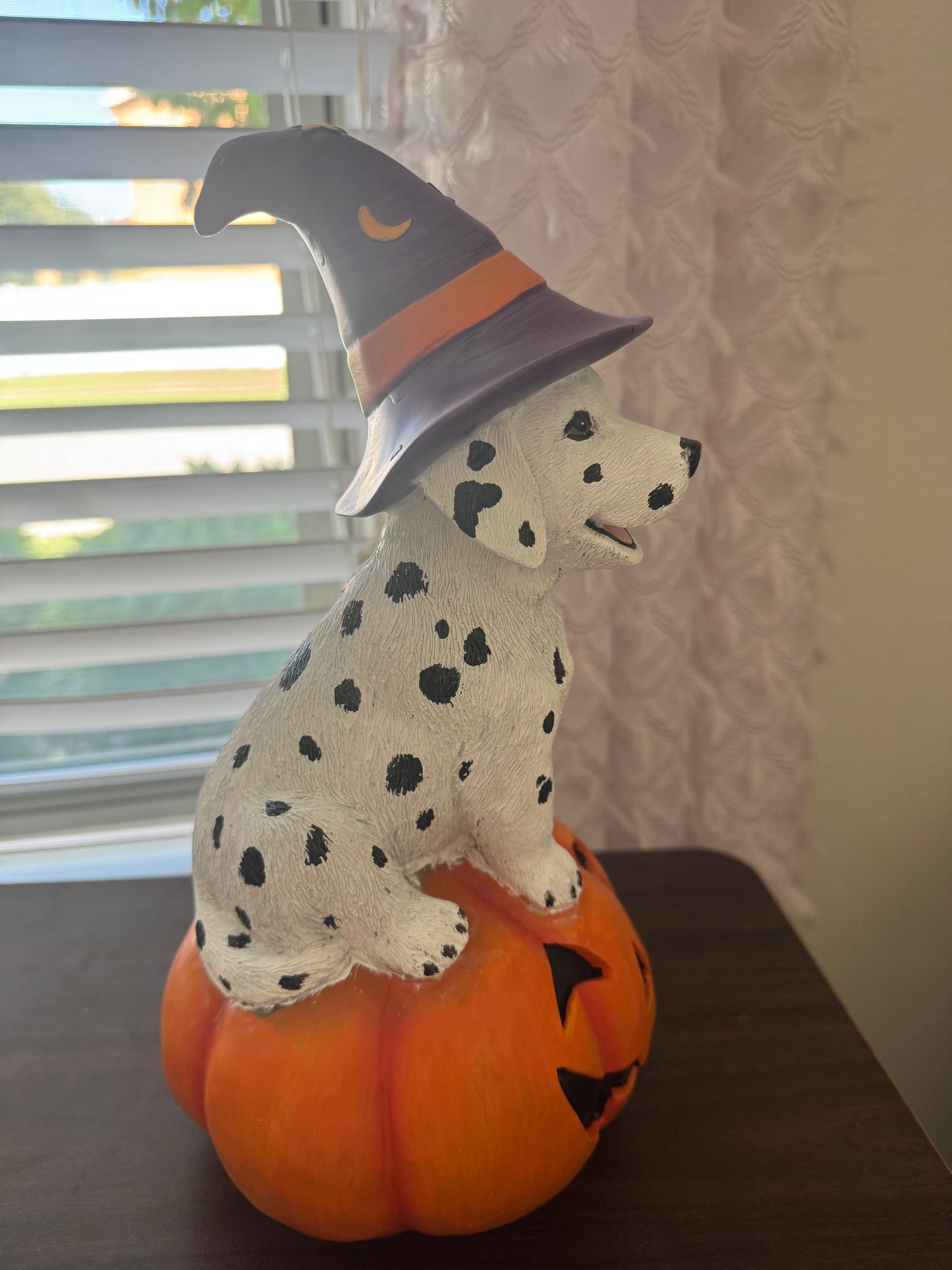 Limited Edition Witchy Dalmatian Pumpkin Decor