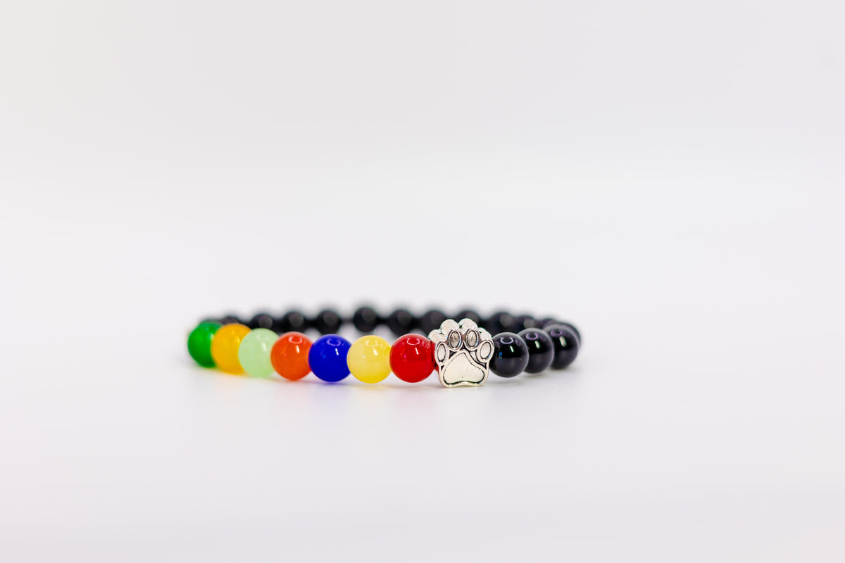 Rainbow Night Pet Guardian